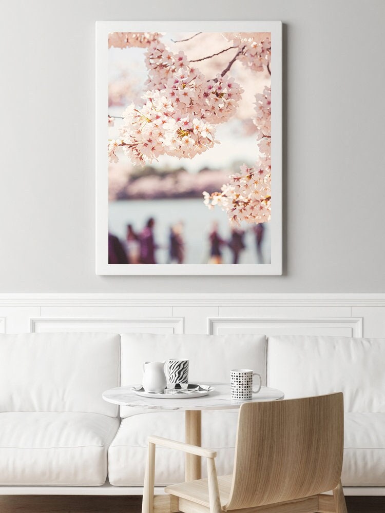 DC Tidal Basin Cherry Blossoms