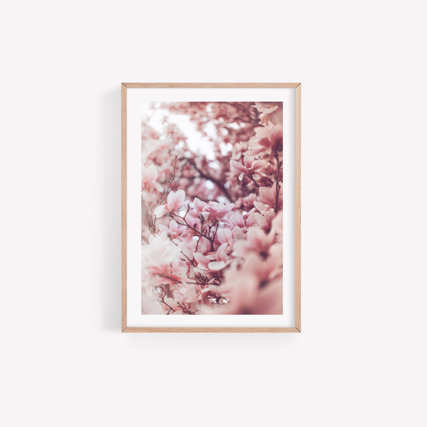 Washington DC Tidal Bason Pink Magnolias Print