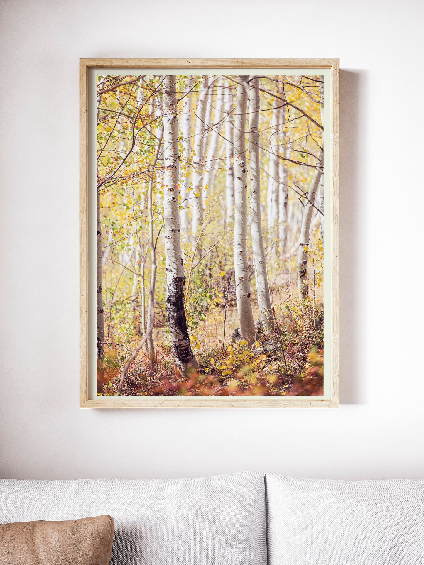 Rustic Colorado Aspens Landscape Print
