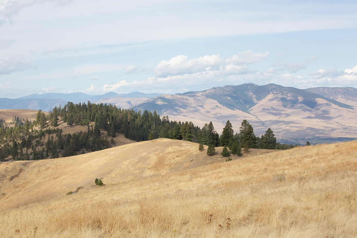 Montana Landscape Photography Print
