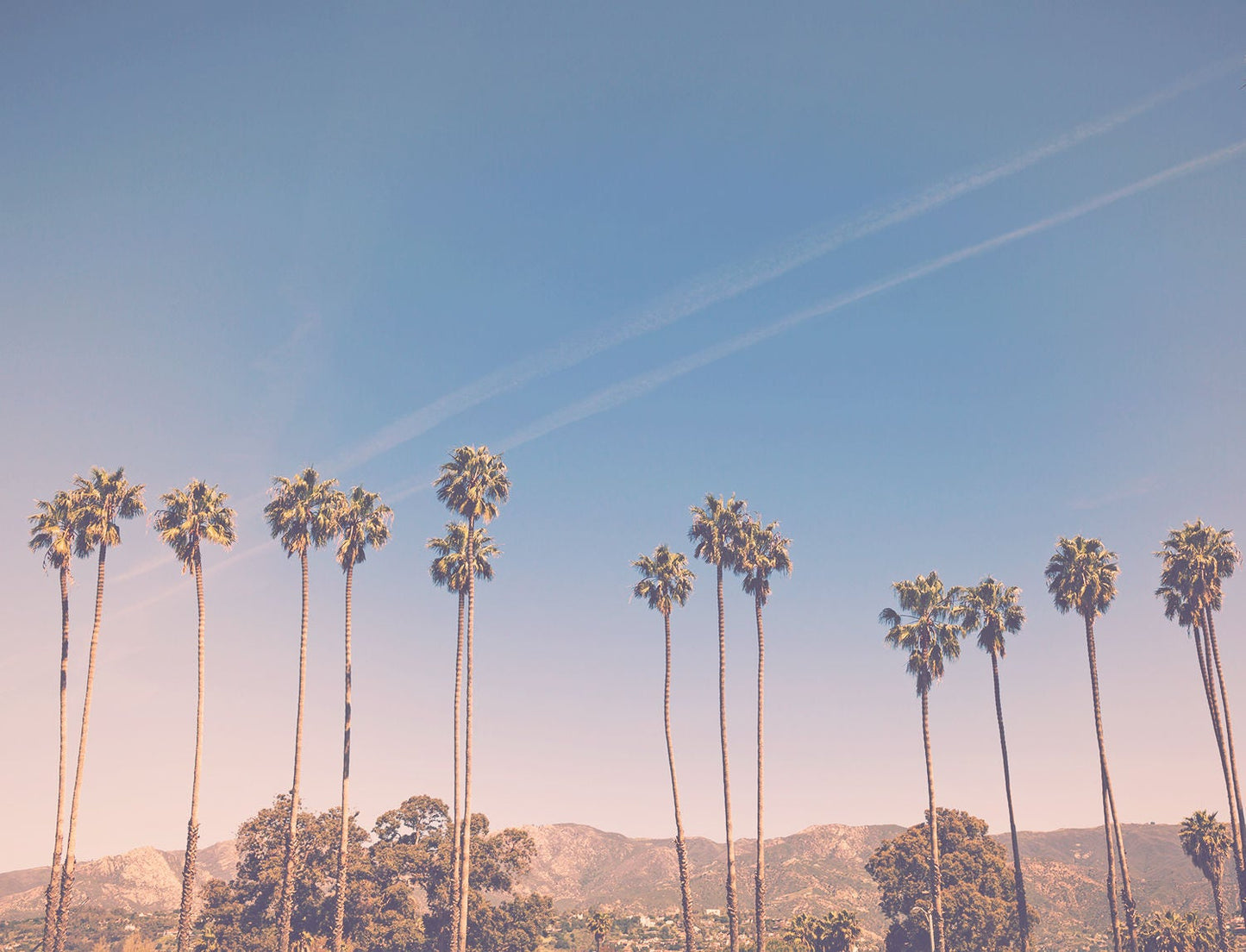 santa barbara photography