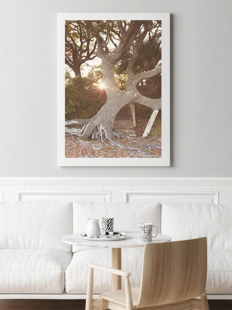 30A Florida Live Oak Print