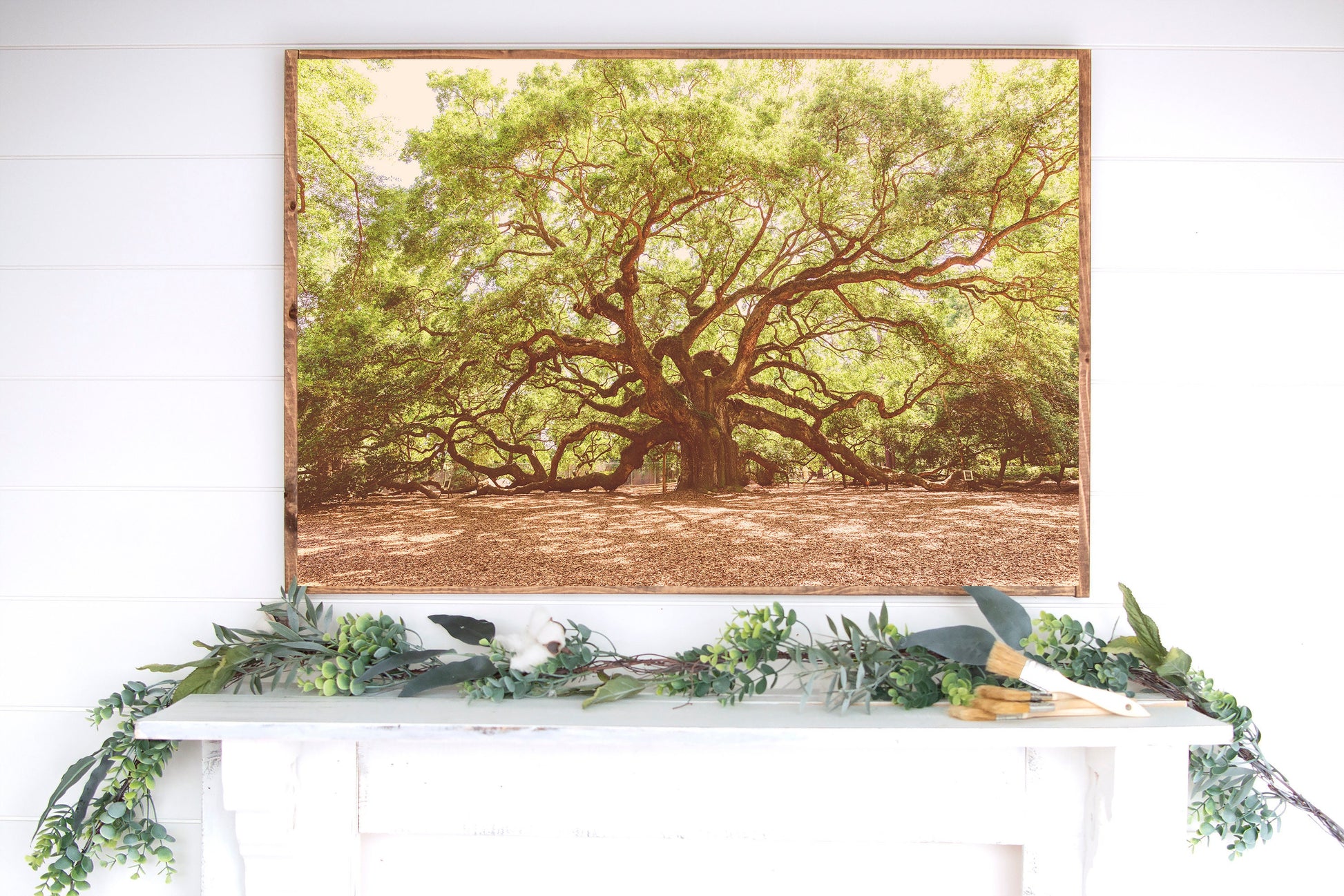 Angel Oak South Carolina