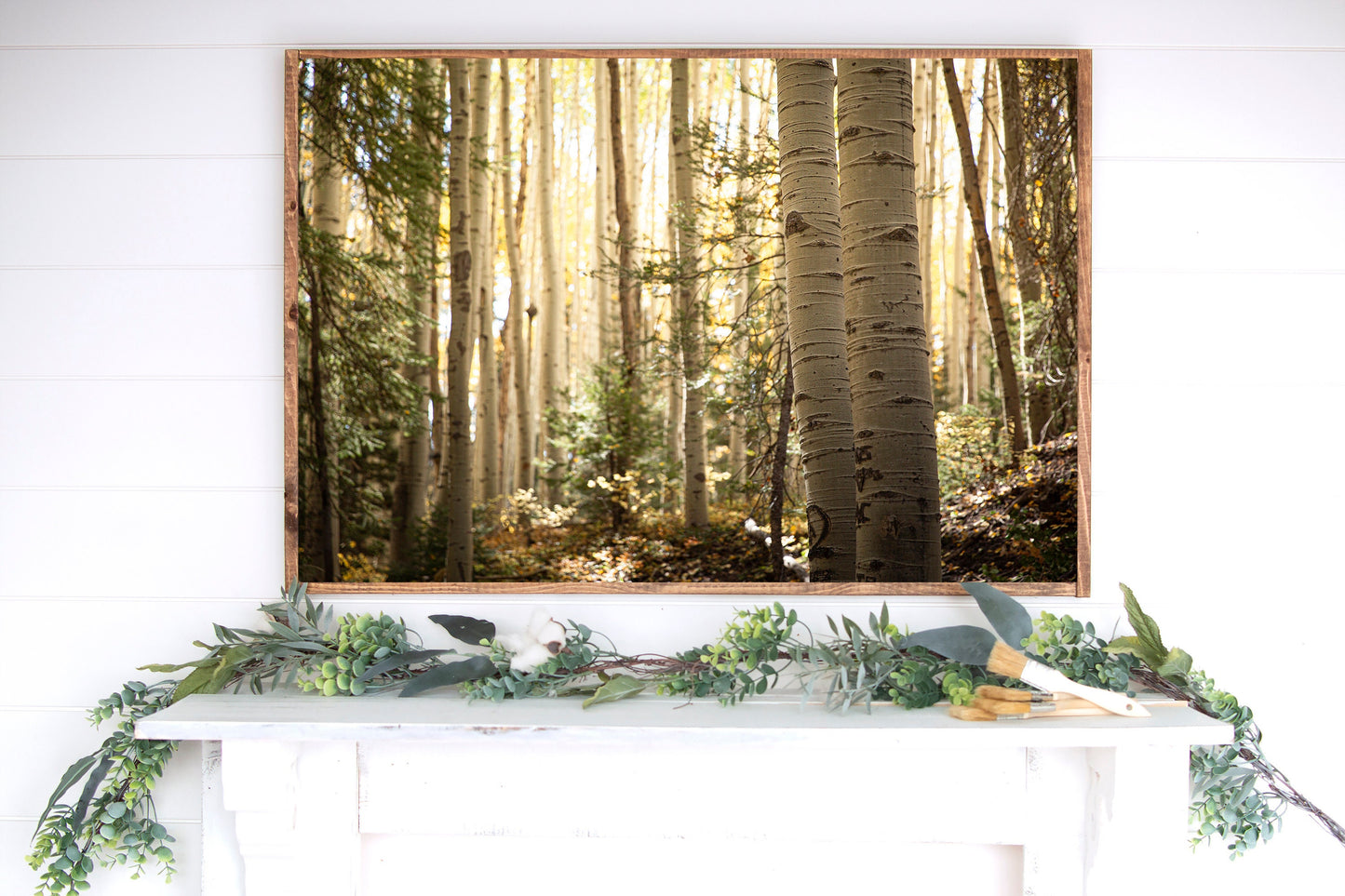 Aspen Forest Colorado Rustic Cabin Wall Art