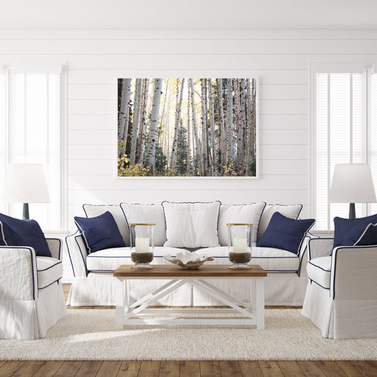 A landscape photograph featuring aspen trees in autumn, displayed on a wall above a white sofa with blue cushions in a living room setting.