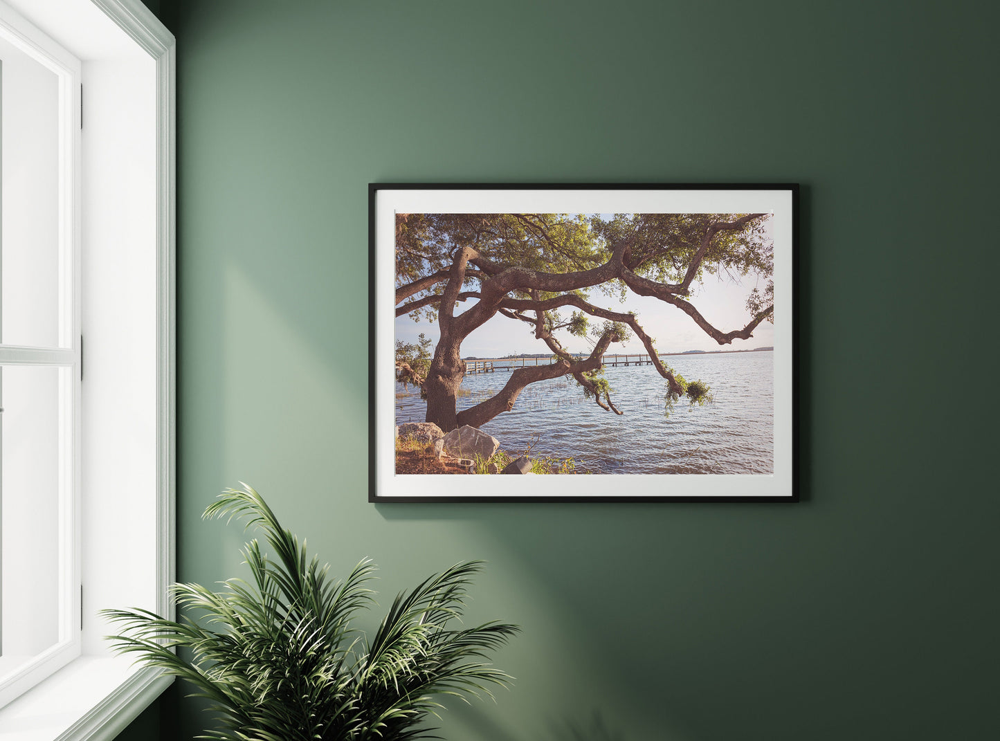 Coastal South Carolina Landscape Print