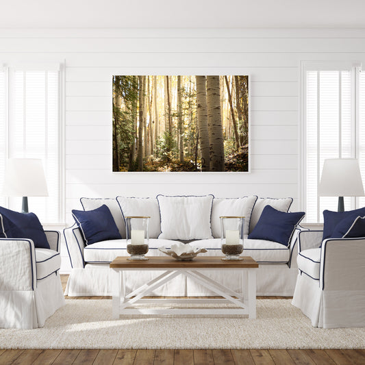 Aspen Forest Colorado Rustic Cabin Wall Art