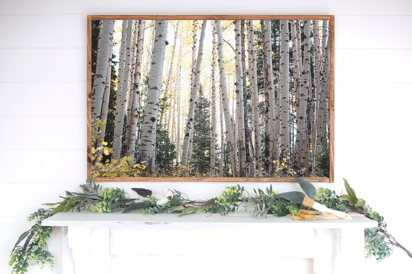 Colorado Aspen Grove Rustic Mountain Wall Art