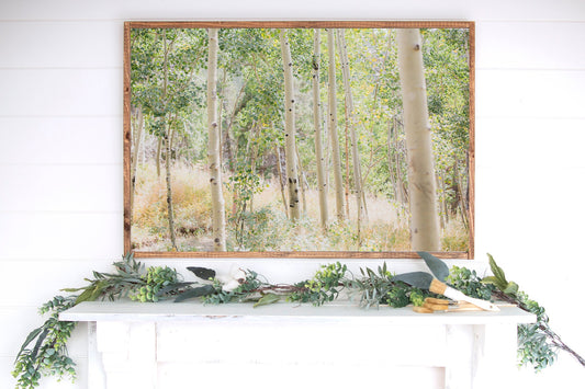 Colorado Aspen Grove Photography Print