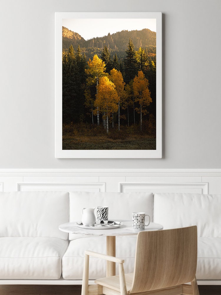 Colorado San Juan Mountains Aspens