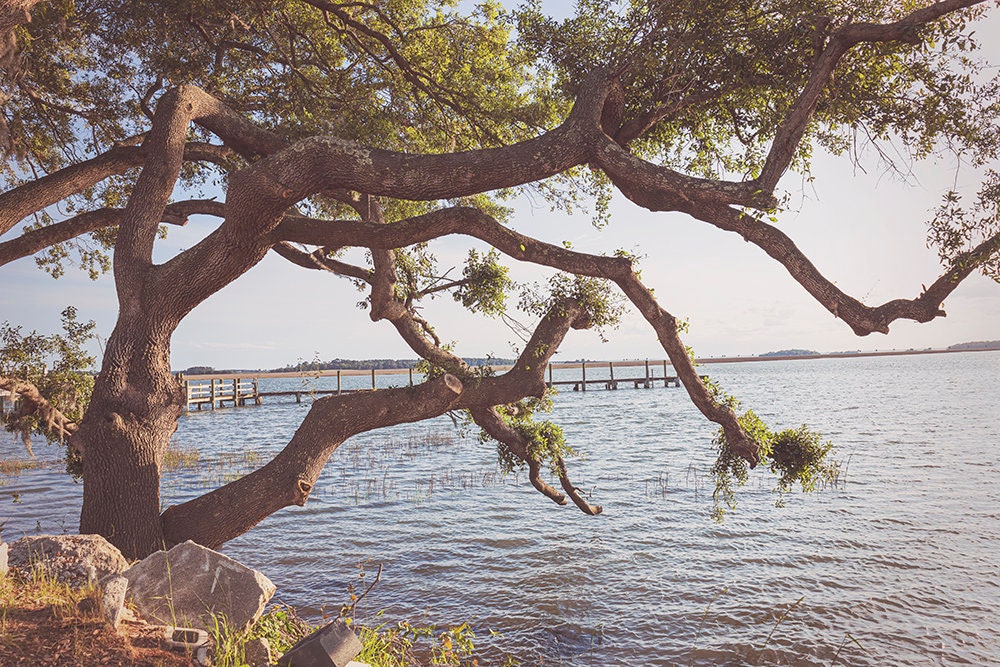 Coastal South Carolina Landscape Print