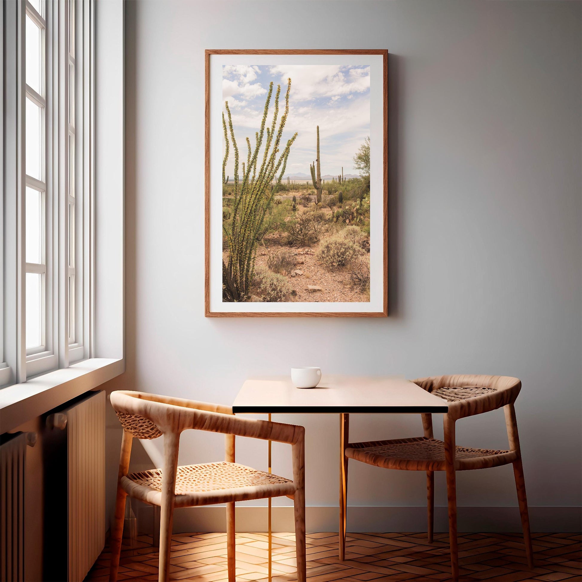 Tuscon Arizona Saguaro National Park