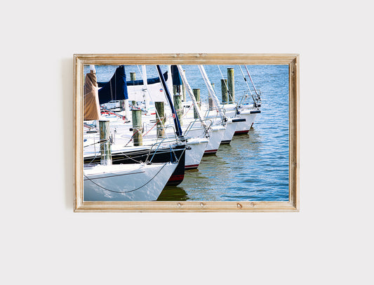 annapolis maryland boats