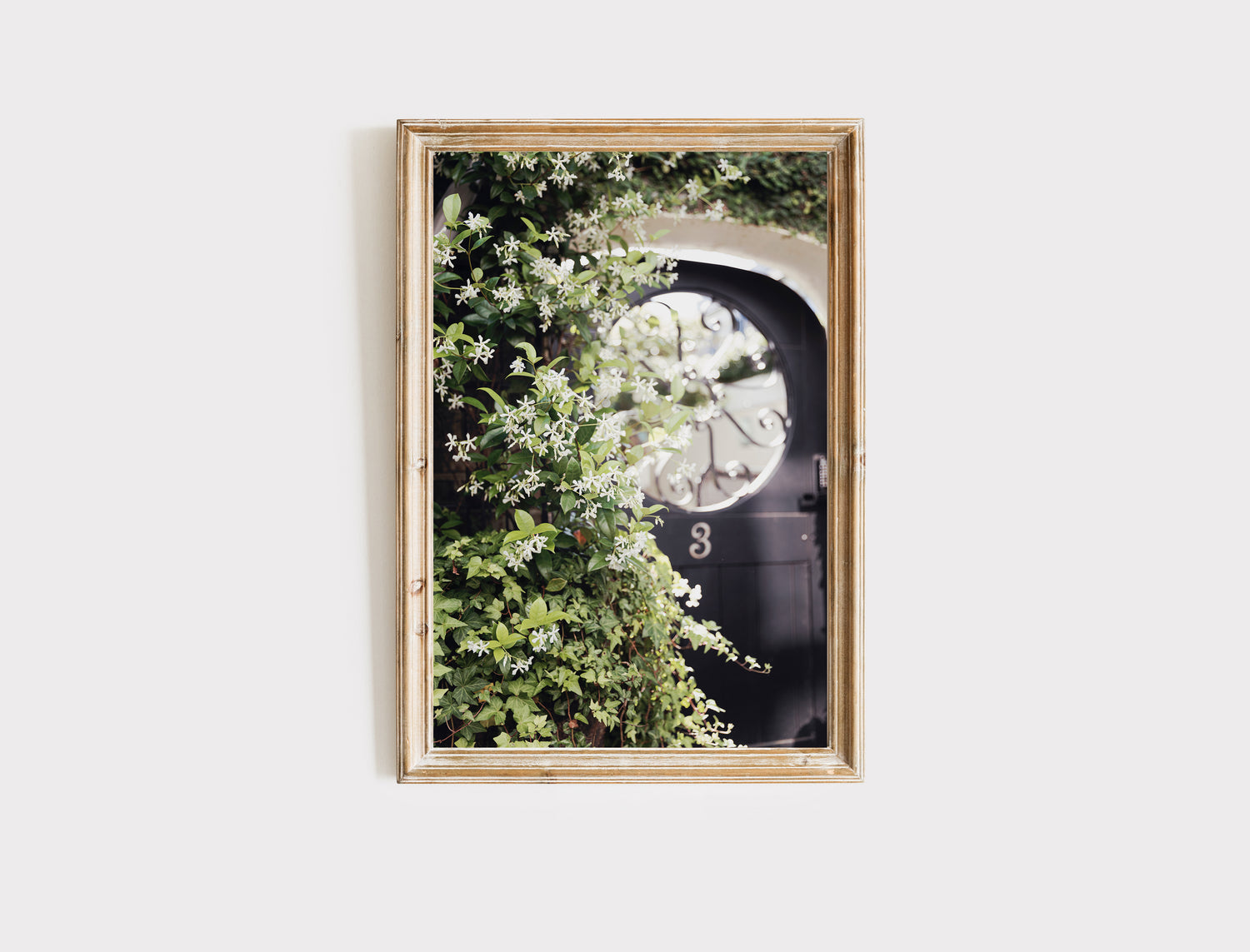 charleston coutyard door surrounded by jasmine