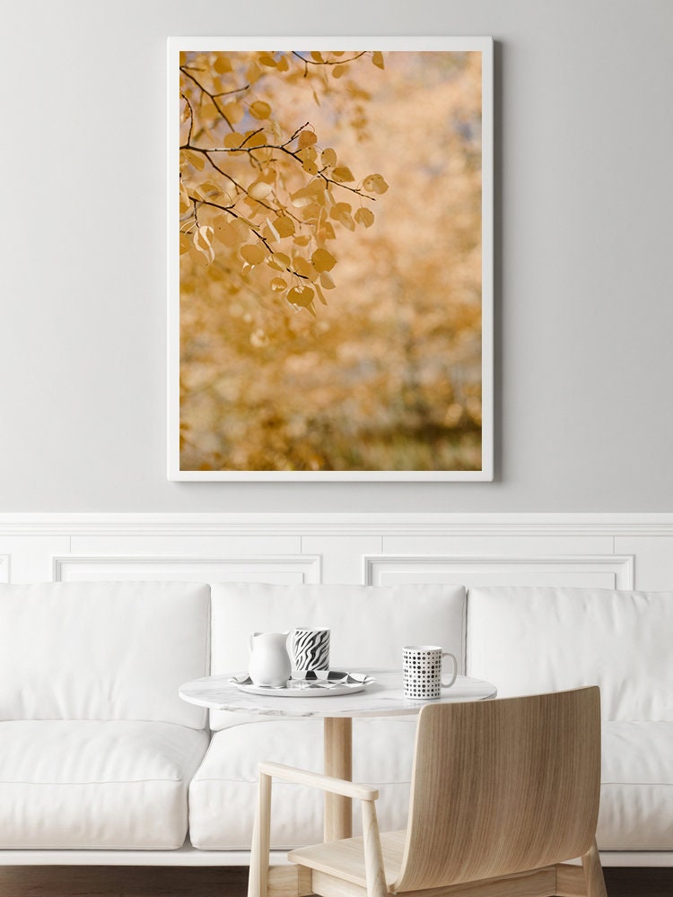 colorado golden aspen leaves