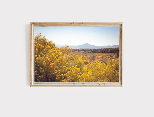 Colorful Abiquiu New Mexico Landscape Print