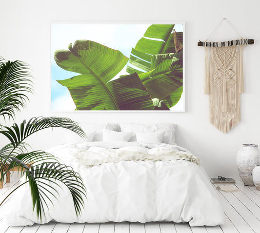 Botanical Los Angeles Banana Leaf Wall Art