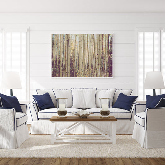 Colorado Aspen Forest Wall art