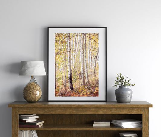 Rustic Colorado Aspens Landscape Print