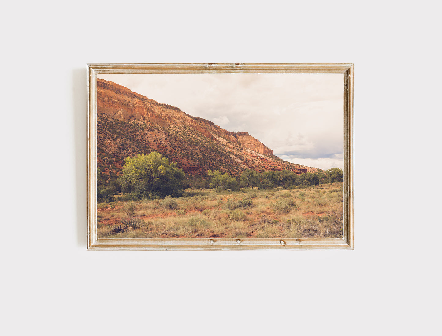 New Mexico desert Landscape