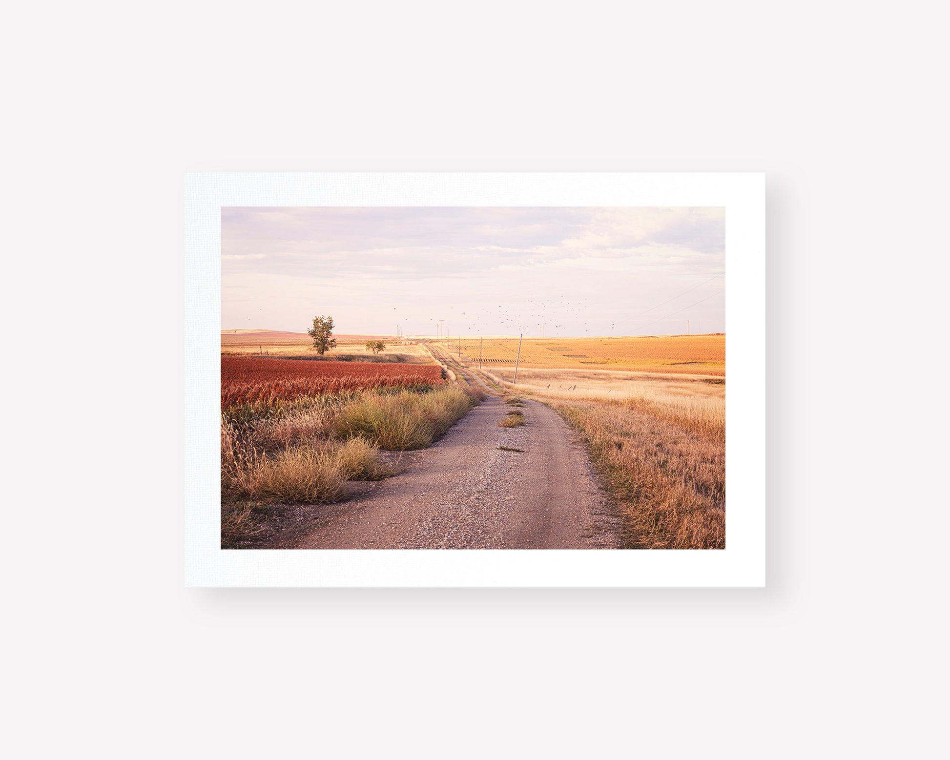 south dakota landscape print